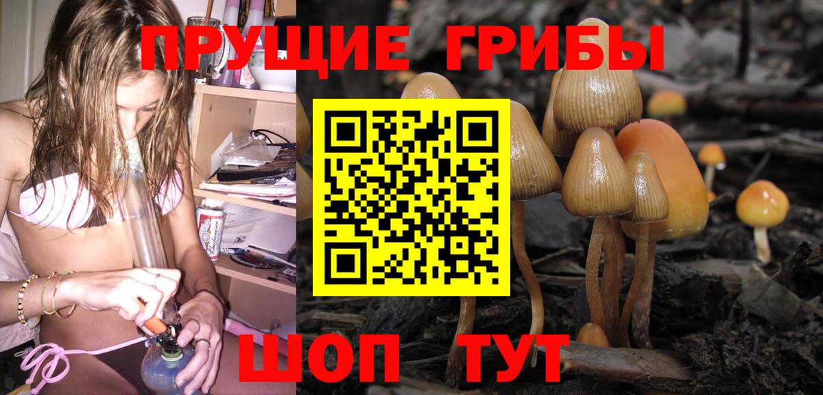 Стрежевой  Псилоцибиновые грибы ЛСД  Вход с VPN 