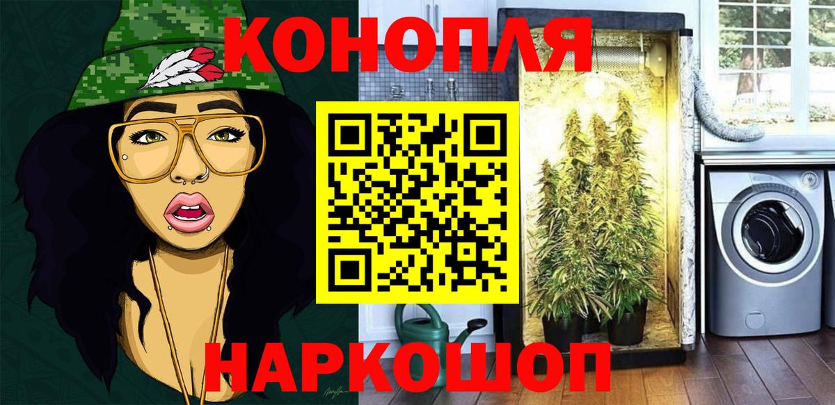 Канабис семена Стрежевой